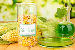 South View biofuel availability